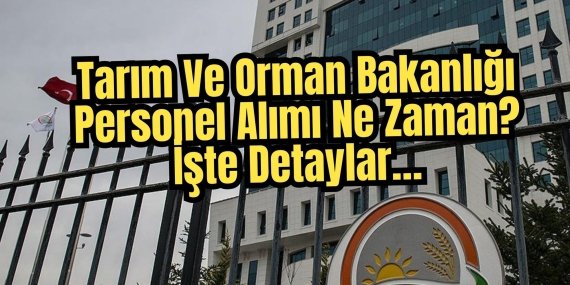 Tarım ve Orman Bakanlığı Personel Alımı 2024