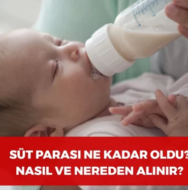 2024 Süt Parası Ne Kadar
