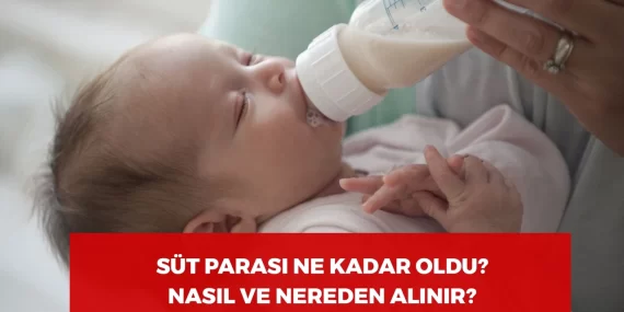 2024 Süt Parası Ne Kadar? Süt Parası Alma Şartları Nelerdir?